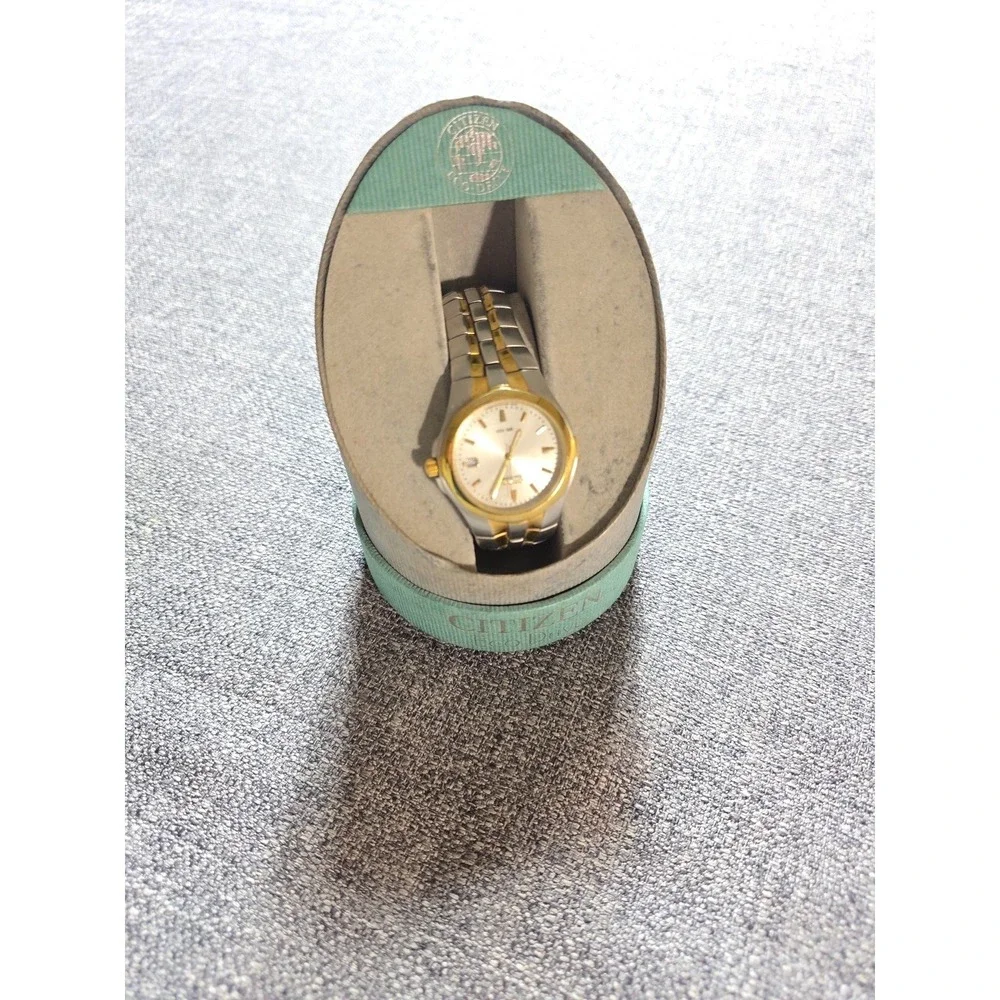 Men's Citizen Eco-Drive WR100 Watch Two Tone Stainless Steel E110-K15699
